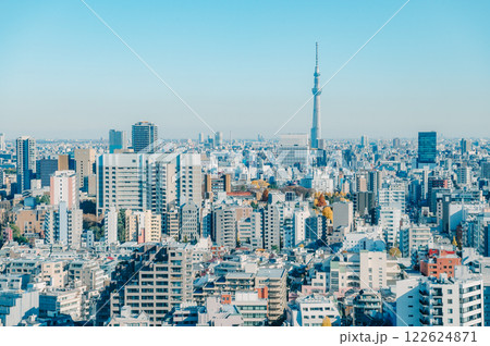 冬の東京の街並み 122624871