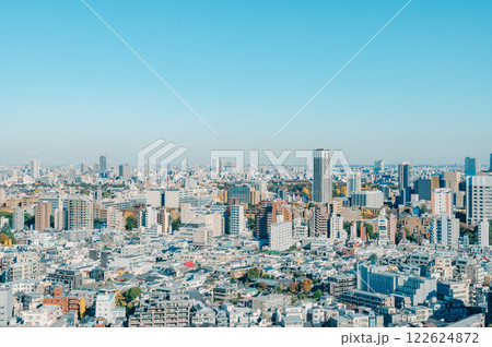 冬の東京の街並み 122624872