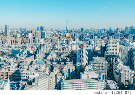 冬の東京の街並み 122624875