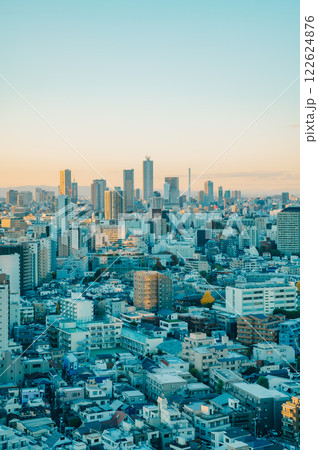 冬の夕暮れどきの東京の街並み 122624876