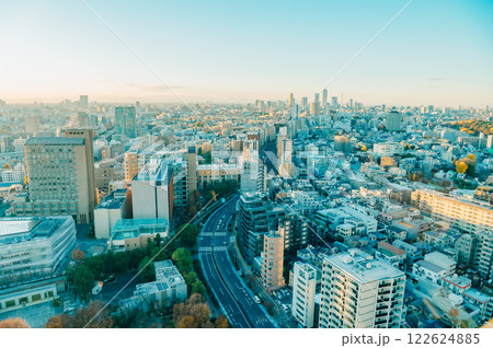 冬の夕暮れどきの東京の街並み 122624885