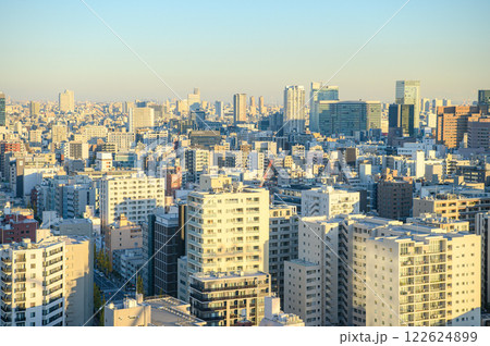 冬の夕暮れどきの東京の街並み 冬の夕暮れどきの東京の街並み 122624899