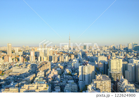 冬の夕暮れどきの東京の街並み 122624900