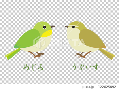 一對日本繡眼鳥和日本林鶯的插圖 122625092