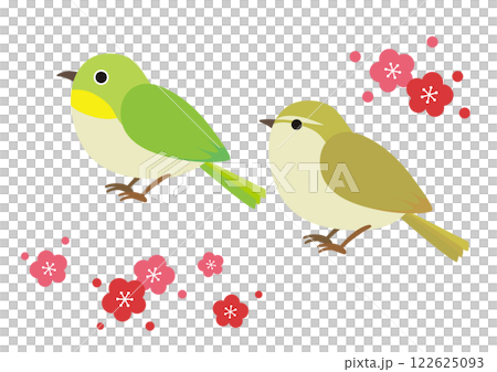 繡眼鳥、鶯和梅花的插圖 繡眼鳥、鶯和梅花的插圖 122625093
