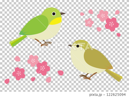 Illustration of a Japanese white-eye, a bush warbler and cherry blossoms 122625094