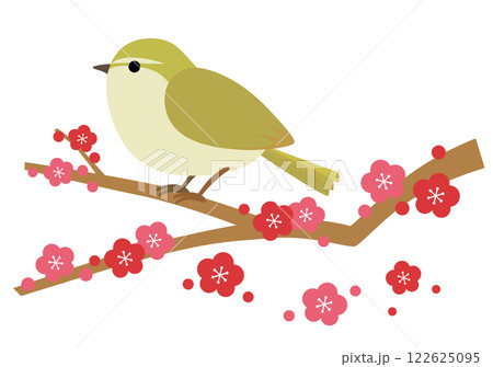梅の木に止まるうぐいすのイラスト 122625095
