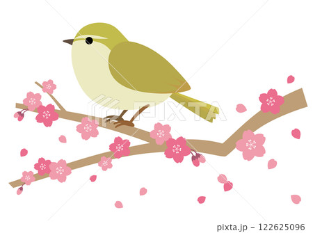 桜の木に止まるうぐいすのイラスト 桜の木に止まるうぐいすのイラスト 122625096