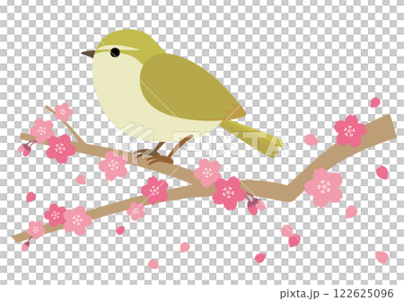 桜の木に止まるうぐいすのイラスト 桜の木に止まるうぐいすのイラスト 122625096
