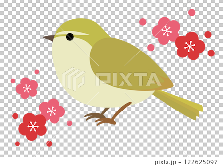 Illustration of plum blossoms and nightingales Illustration of plum blossoms and nightingales 122625097
