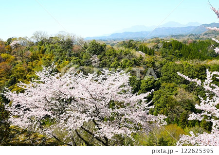 くじゅう連山と満開のさくら くじゅう連山と満開のさくら 122625395