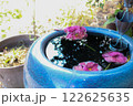 水に浮かぶ花 122625635