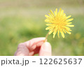 タンポポを差し出す手 122625637