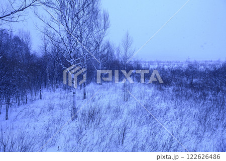 冬の戦場ヶ原 122626486