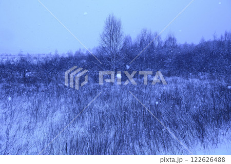 冬の戦場ヶ原 122626488