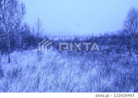 冬の戦場ヶ原 122626493