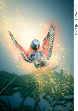 Rainbow Lorikeet in flight 122626652