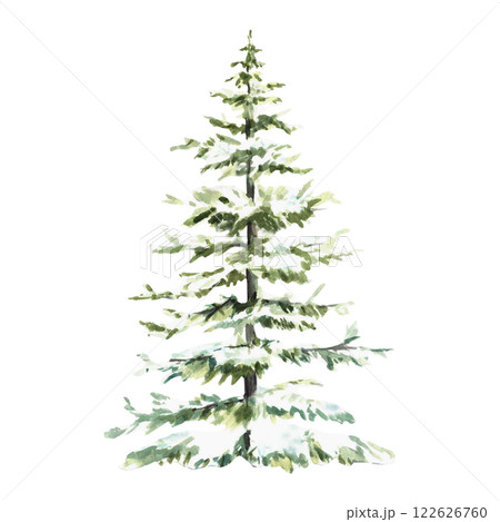 Christmas fir. Spruce tree snow covered. Hand painted Snowy winter watercolor illustration isolated element from background. Clipart for seasonal holiday design of Xmas card, poster, label, pattern. 122626760