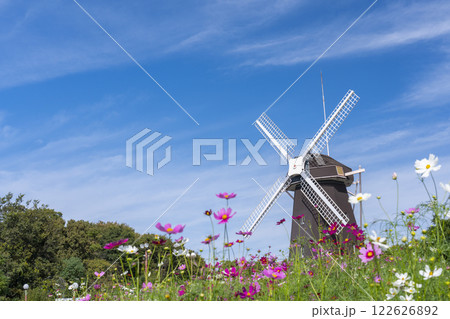 鶴見緑地公園　風車とコスモス 122626892