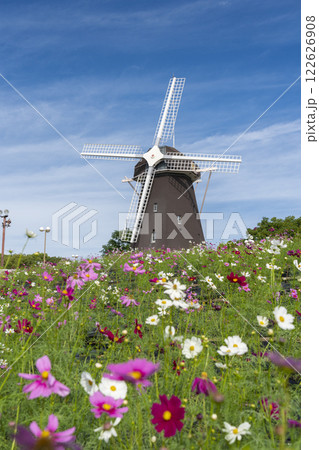 鶴見緑地公園 風車とコスモス 鶴見緑地公園 風車とコスモス 122626908