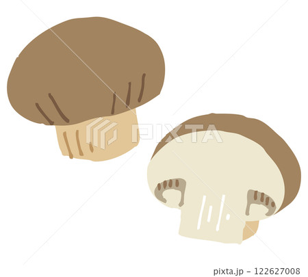 ブラウンマッシュルームのイラスト 122627008
