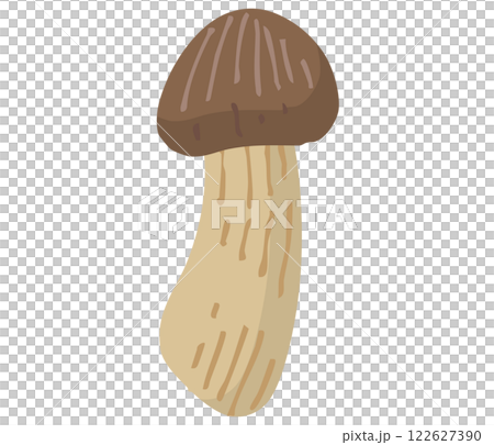 松茸（マツタケ）のイラスト 122627390