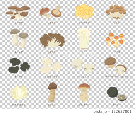Illustrations of 16 types of mushrooms (vector available) 122627801