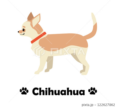 チワワ　フラットデザイン、横向きの犬のシンプルなイラスト 122627862