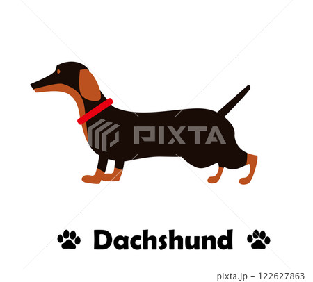 ダックスフント　フラットデザイン、横向きの犬のシンプルなイラスト 122627863