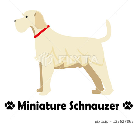 ミニチュアシュナウザー フラットデザイン、横向きの犬のシンプルなイラスト ミニチュアシュナウザー フラットデザイン、横向きの犬のシンプルなイラスト 122627865