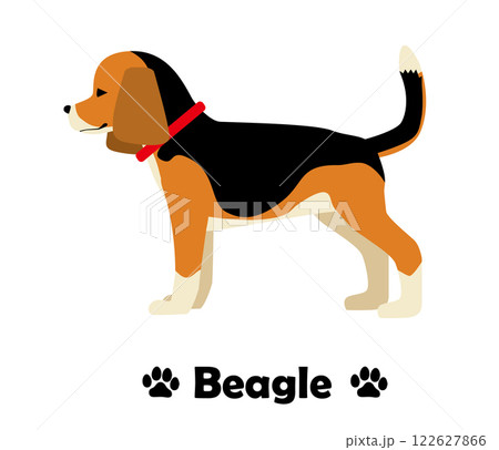 ビーグル犬　フラットデザイン、横向きの犬のシンプルなイラスト 122627866