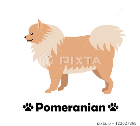ポメラニアン　フラットデザイン、横向きの犬のシンプルなイラスト 122627869