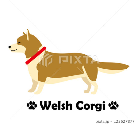 ウェルシュコーギー フラットデザイン、横向きの犬のシンプルなイラスト ウェルシュコーギー フラットデザイン、横向きの犬のシンプルなイラスト 122627877