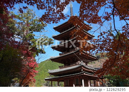 晴れた空と国宝五重塔 海住山寺 晴れた空と国宝五重塔 海住山寺 122629295