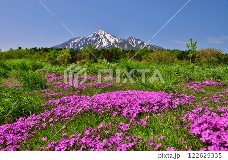 花咲き誇る 利尻島 花咲き誇る 利尻島 122629335