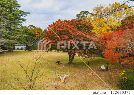 浜松市の鳥羽山公園の夕方の紅葉の風景(静岡県) 122629373