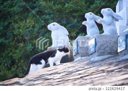 鵜戸神宮　うさぎ　石の灯篭 122629417