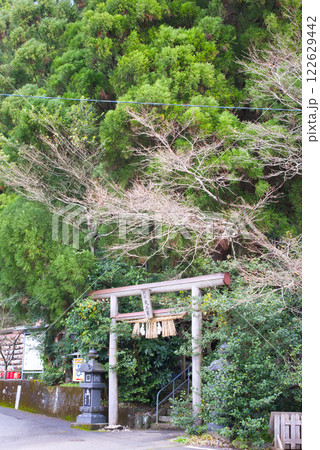 荒立神社　鳥居 122629442