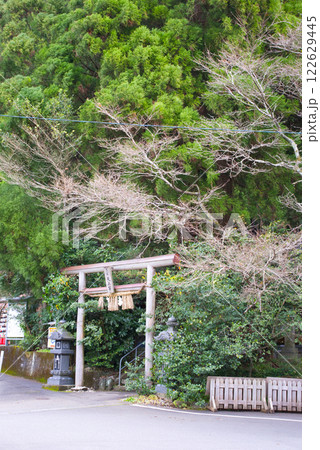 荒立神社　鳥居 122629445