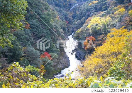 神都高千穂大橋　高千穂峡 122629450