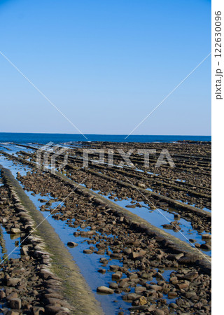 青島 鬼の洗濯岩 青島 鬼の洗濯岩 122630096