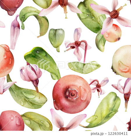 Cranberry lingonberry pink flowers stems, water dew drops hand drawn in watercolor, ripe swamp forest berry, bearberry teaberry wintergreen. Isolated seamless pattern. Restaurant menu, farmers market 122630411