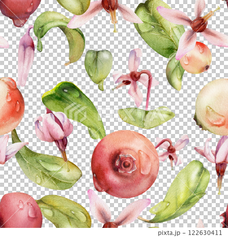 Cranberry lingonberry pink flowers stems, water dew drops hand drawn in watercolor, ripe swamp forest berry, bearberry teaberry wintergreen. Isolated seamless pattern. Restaurant menu, farmers market 122630411