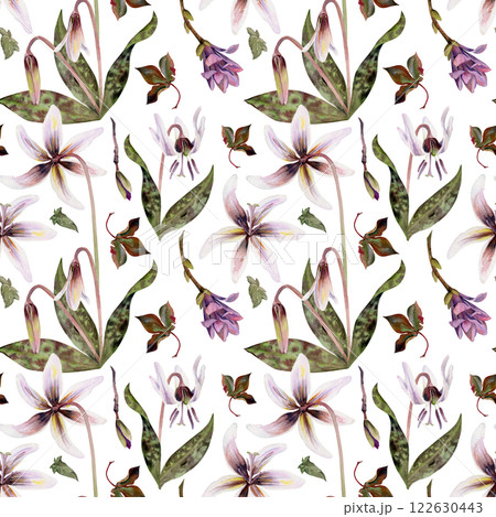Spring flowers, purple orchid vetch, white trout lily, mauve magnolia camelia bud, erythronium corydalis hand drawn in watercolor. Seamless pattern illustration for wedding, florist shop, stationery 122630443
