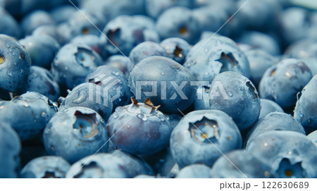Heap of fresh blueberries covered in dew Heap of fresh blueberries covered in dew 122630689