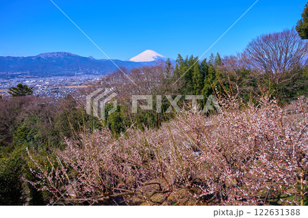 神奈川県小田原市曽我別所の見晴台から市街地眺望(小田原市,富士山,矢倉岳,金時山など) 122631388