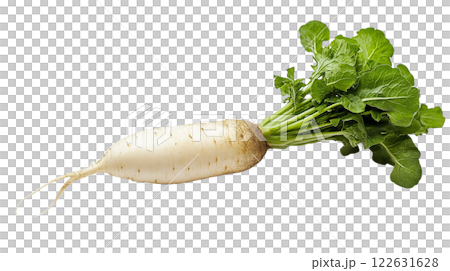 Fresh radish with leaves Fresh radish with leaves 122631628