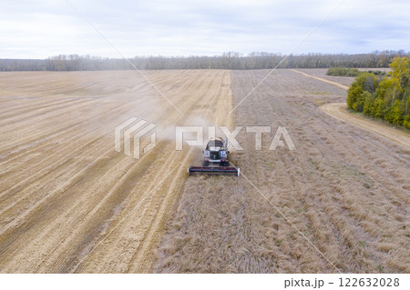 Aerial view of agricultural combine harvester harvesting grain in a large field in Siberia in autumn Aerial view of agricultural combine harvester harvesting grain in a large field in Siberia in autumn 122632028