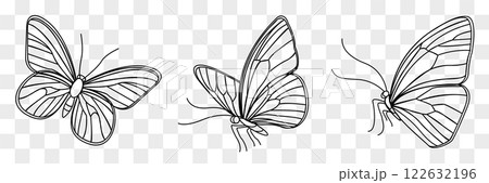 Beautiful vector illustration of three butterfly designs highlighting spring and summer themes in a minimalistic style 122632196