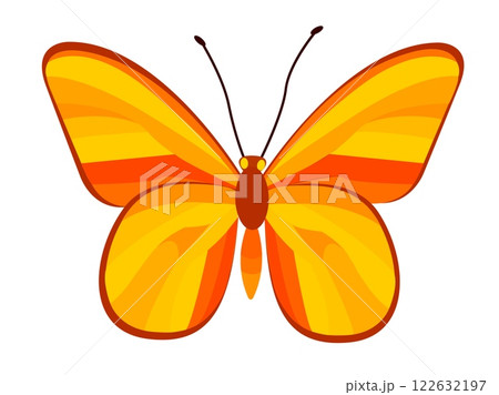 Bright yellow and orange butterfly vector illustration representing spring and summer beauty in nature 122632197